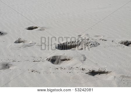 empty beach