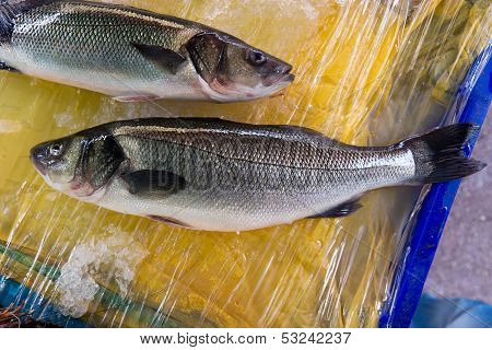 Nice - Seafish On The Fish Market
