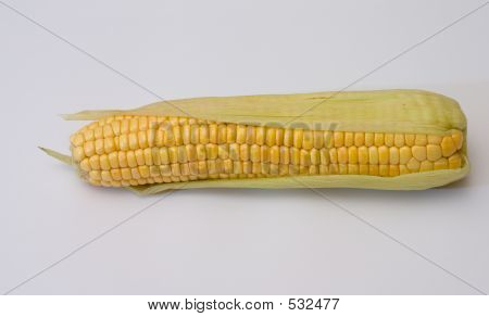 Kukorica fül