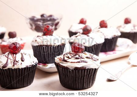 Chocolate Cupcakes