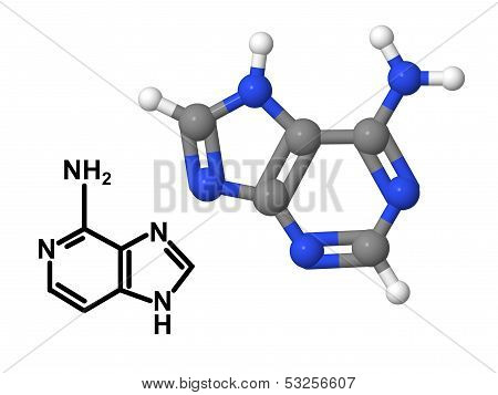 Vitamin B4 Molecule With Chemical Formula