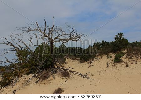 SAND DUNES