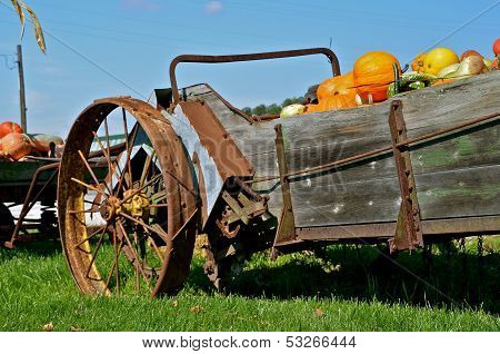 Autumn pumpkins displayed in an old manure spreader