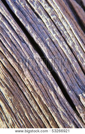 Lined textures and background of hardwood contours and lines - Nature in Africa