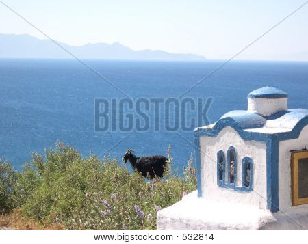 Pecora nera orologi mare