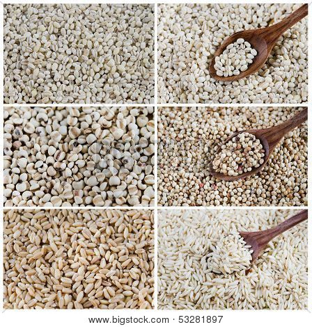 Set Of Grains