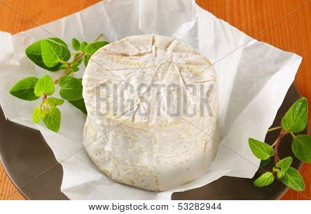 camembert cheese on a paper and plate