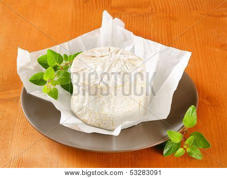 fresh camembert cheese served on a plate