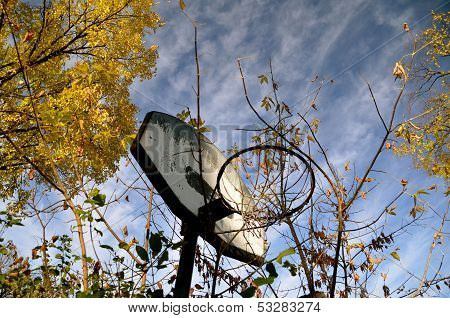 neglected basketball hoop