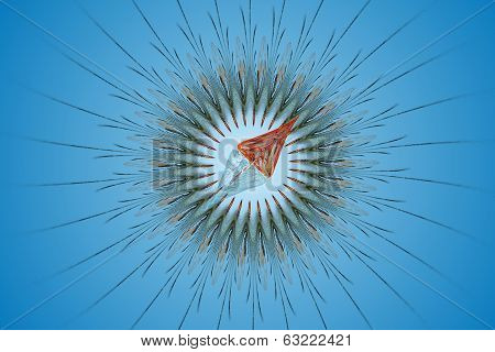 Stylized image of a compass