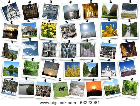 Motley Images Isolated On The White Background