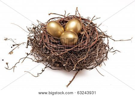Golden Eggs In Nest