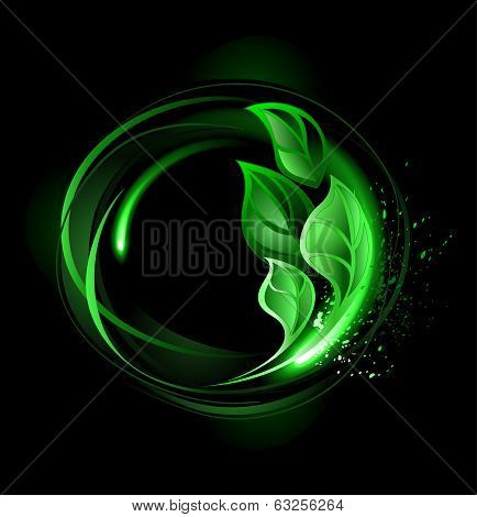 Round Banner With Green Leaves