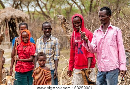 Veterinarian Goes Transferred Vaccination Of Animals