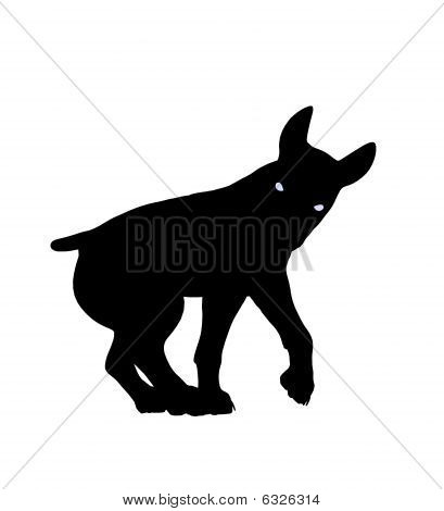 Pentu koira kuva siluetti