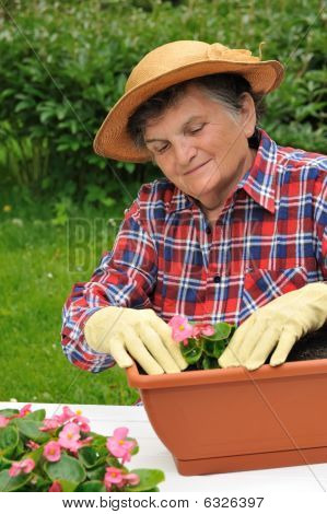 หญิงอาวุโส - การทำสวน