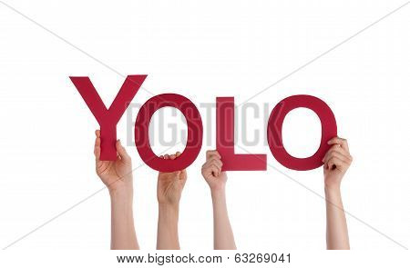 People Holding Yolo
