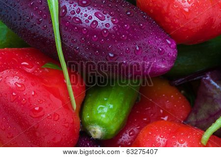 Color Vegitables Background