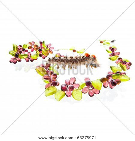 Caterpillar With The Friuty Glass Jewelry