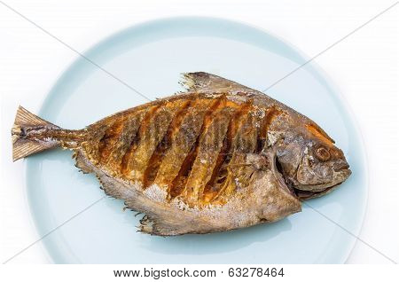 Asian Style Deep Fried Pomfret On Dish In White Isolated Background