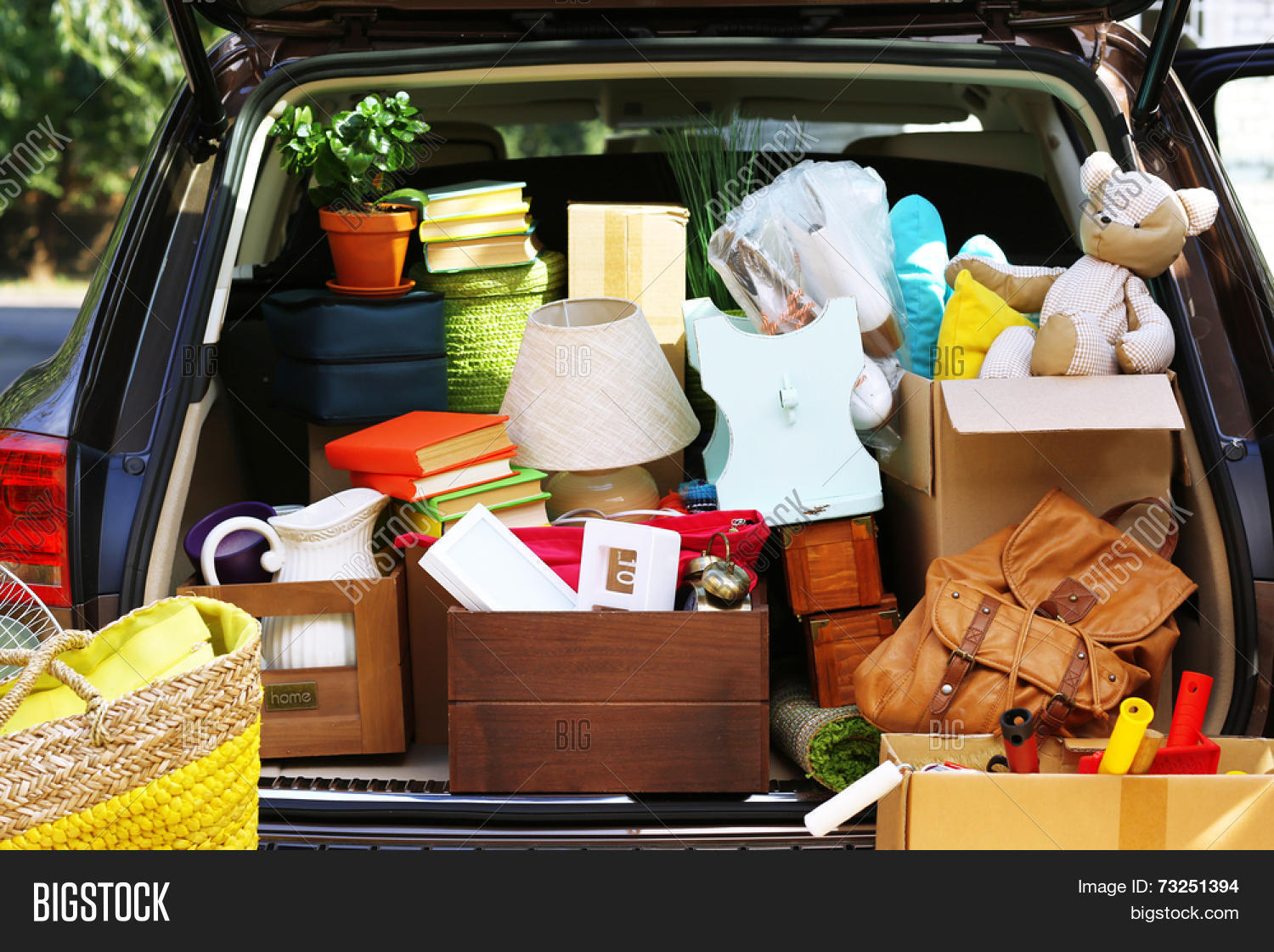Moving Boxes Suitcases Image & Photo (Free Trial) Bigstock