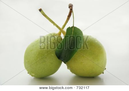 Two Pears.