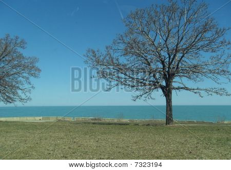 Riverview in illinois,