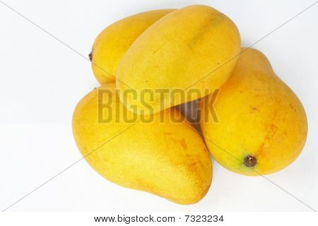 mangue