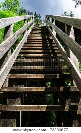 Natural Wooden Stairway To Heaven