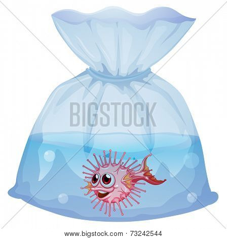 Illustration of a puffer fish inside the pouch on a white background
