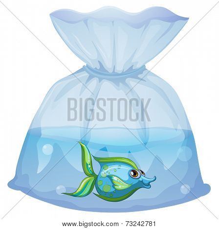 Illustration of a blue fish inside the plastic pouch on a white background