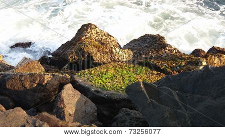 rocks