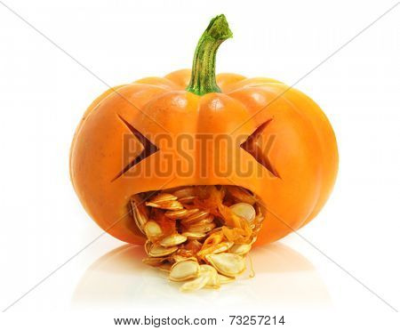 Pumpkin being sick