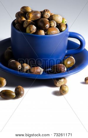 Acorns And Mug..acorns And Mug