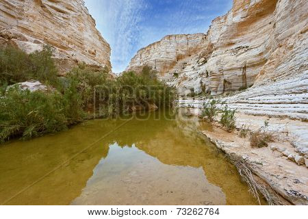  Magnificent canyon, creek and picturesque waterfall. Ein Avdat National Park in the Negev desert