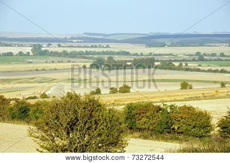 The Ridgeway From Charlbury Hill