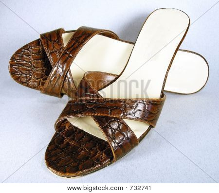 Brown Sandals