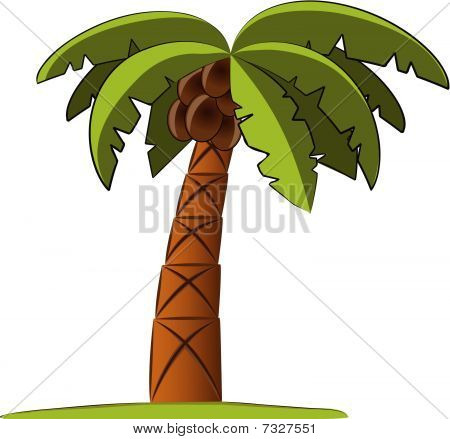 Illustrazione vettoriale di Palm tree