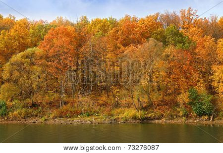 ?utumn Forest On The Bank Of The River And Its Reflection In The Water