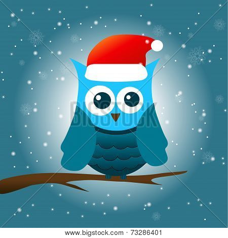 Winter Owl vector