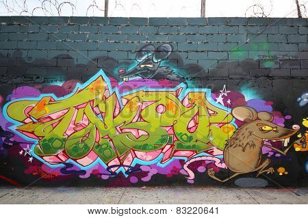 Graffiti art at East Williamsburg in Brooklyn.