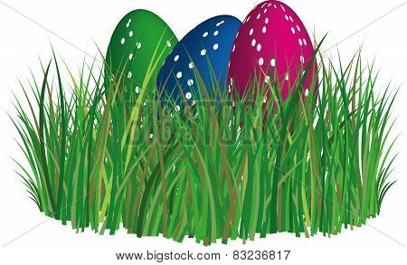 Easter Eggs In Grass