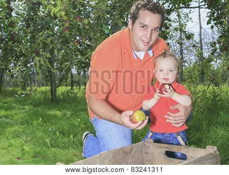 Father and son having fun on the apple season