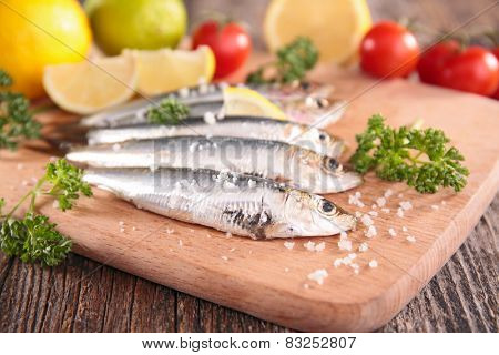 fresh pilchard