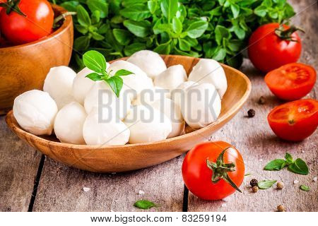Mozzarella, Organic Cherry Tomatoes And Fresh Basil