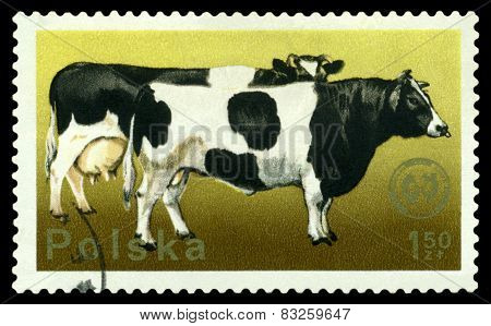 Vintage  Postage Stamp. Cattie.