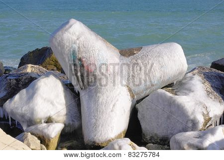Frozen Tetrapod  In Winter Day