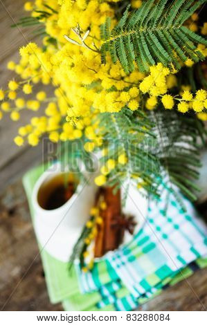 Spring Time