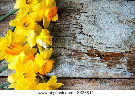 Easter Time