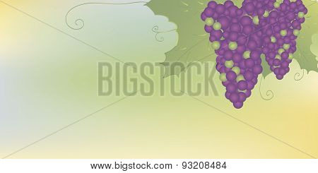 Bunches of grapes with leaves